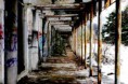 /album/disused-area/portico-jpg/