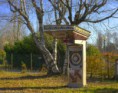 /album/disused-area/pungiball-jpg/