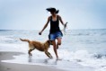 /album/dogs/dsc07780-jpg/