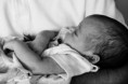 /album/alessandra/dsc09193-web-jpg/