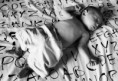 /album/alessandra/dsc09342-web-jpg/