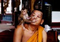 /album/thailand/dsc08931w-jpg/