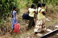 /album/sri-lanka/dsc05106w-jpg/