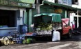 /album/costa-rica/dsc04193w-jpg/